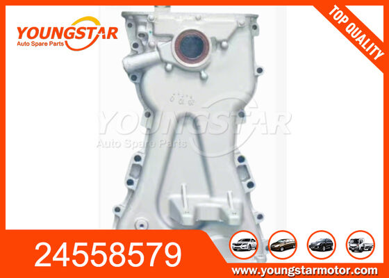 চেভ্রোলেট এন৩০০ ১.২ লিটারের জন্য ইঞ্জিন অয়েল পাম্প ওএম ২৪৫৫৮৫৭৯ এবং ৬০০০০ কিলোমিটার গ্যারান্টি সহ