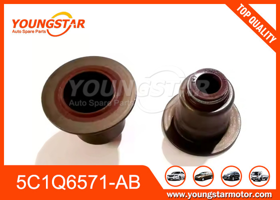 5C1Q6571-AB ভ্যালভ চুরি ফোর্ড V348 ট্রানজিট 2.4 2.2