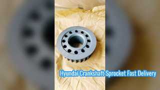 Hyundai 23121 22600 Crankshaft Sprocket দ্রুত ডেলিভারি